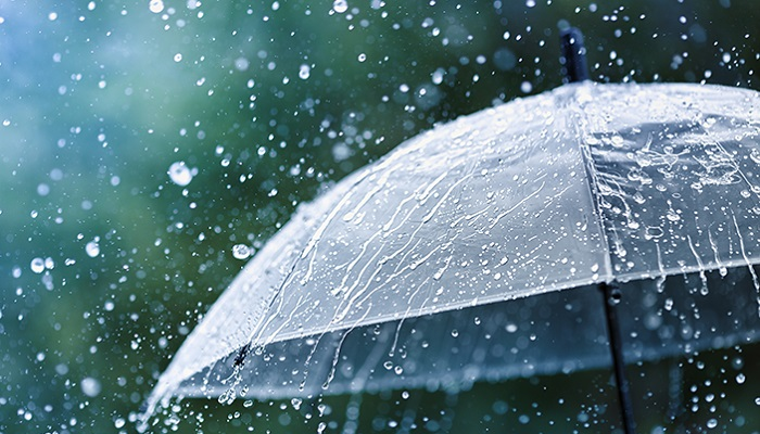 ප්‍රදේශ කිහිපයකට අද දිනයේ තද වැසි