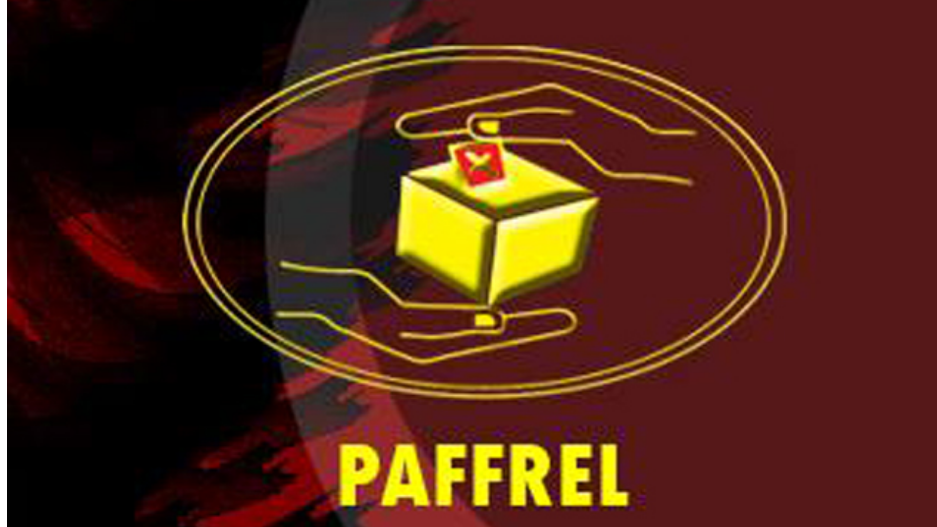 මැතිවරණ නිරීක්‍ෂණ සංවිධානයකට සැකයක්