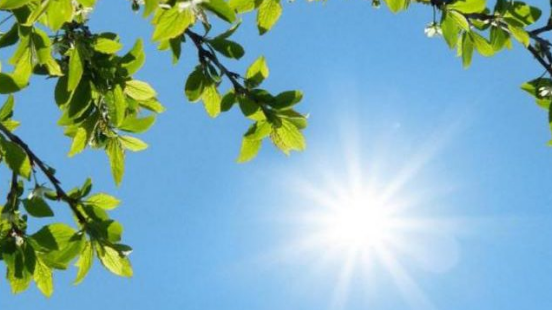 වියළි කාලගුණය වැඩිවුණොත් ජල සැපයුමත් අවදානමේ