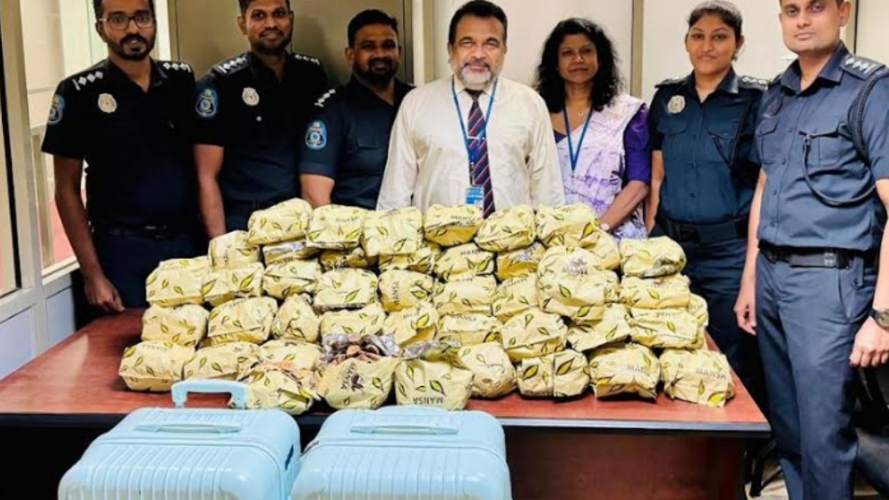 කොතළ හිඹුටු තොගයක් හොර පාරෙන් රැගෙන යන්න තැත් කළ චීන ජාතිකයෙකුට වැඩ වරදී