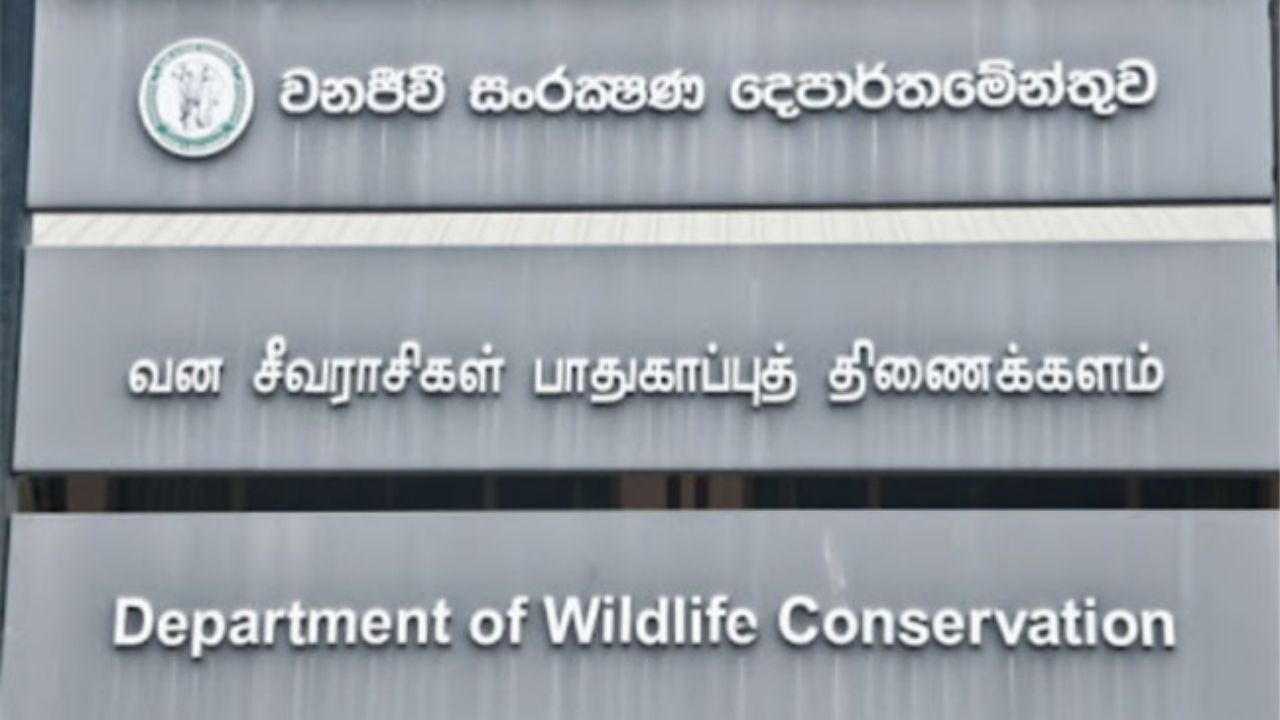 අධිකරණයේ පෙනී සිටින්නැයි වනජීවි දෙපාර්තමේන්තුවට නියෝග