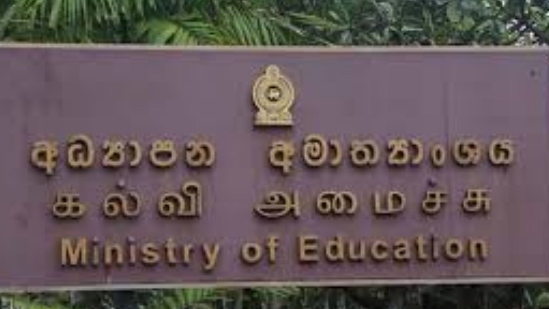 වෛද්‍ය අධ්‍යාපනය පිළිබඳ ජාතික ප්‍රතිපත්තියක් සම්පාදනය කිරීමට විශේෂඥ කමිටුවක්