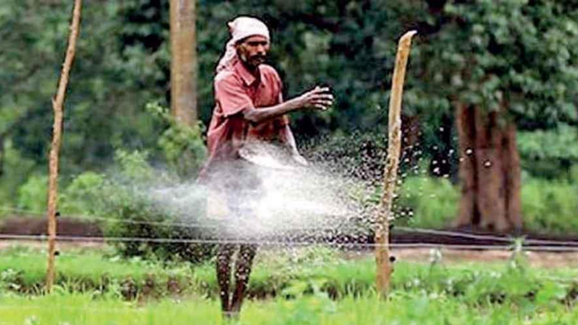 ඇත්තටම පොහොර හිගයක් තියෙනවාද?