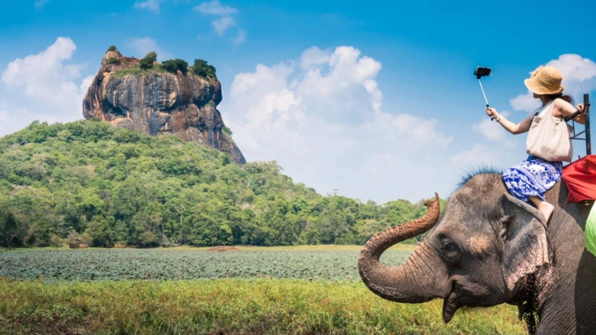 සංචාරක කර්මාන්තය අලුත් අනතුරක