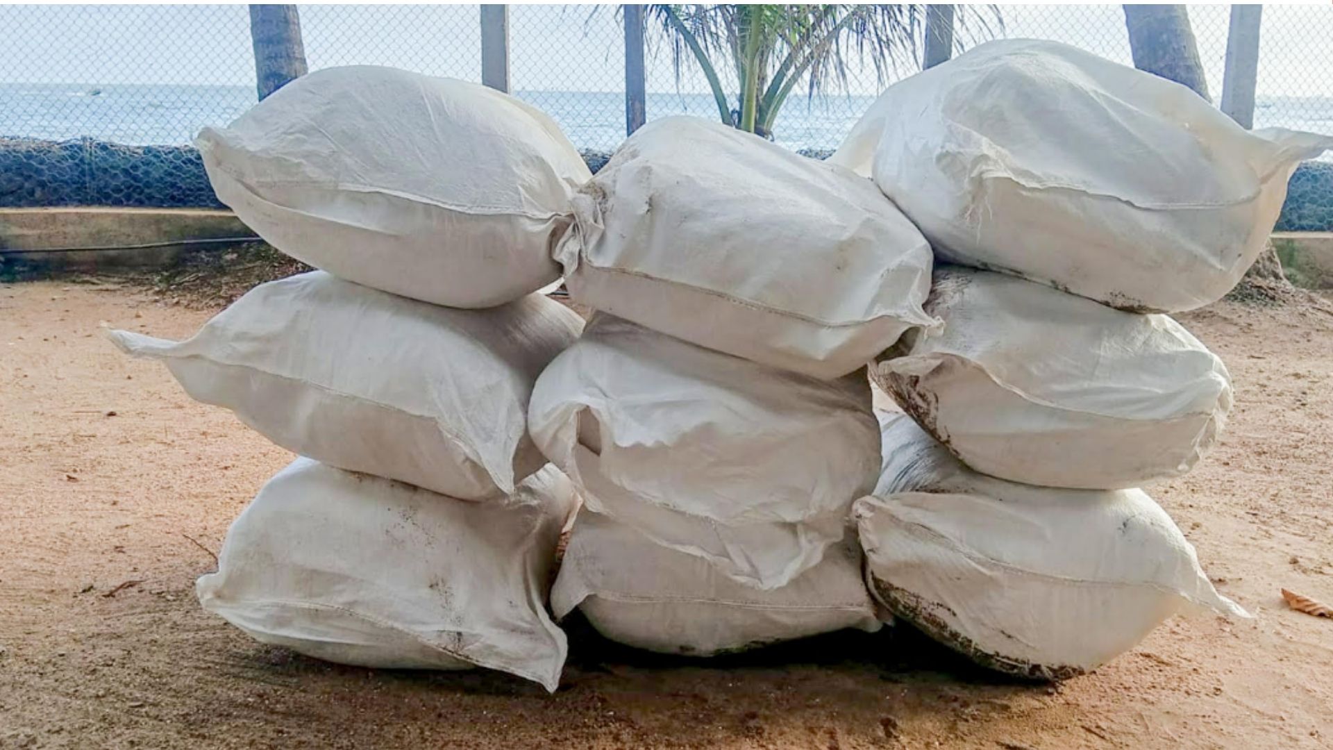 මීගමුව කලපු ප්‍රදේශයේ විශේෂ මෙහෙයුමක්