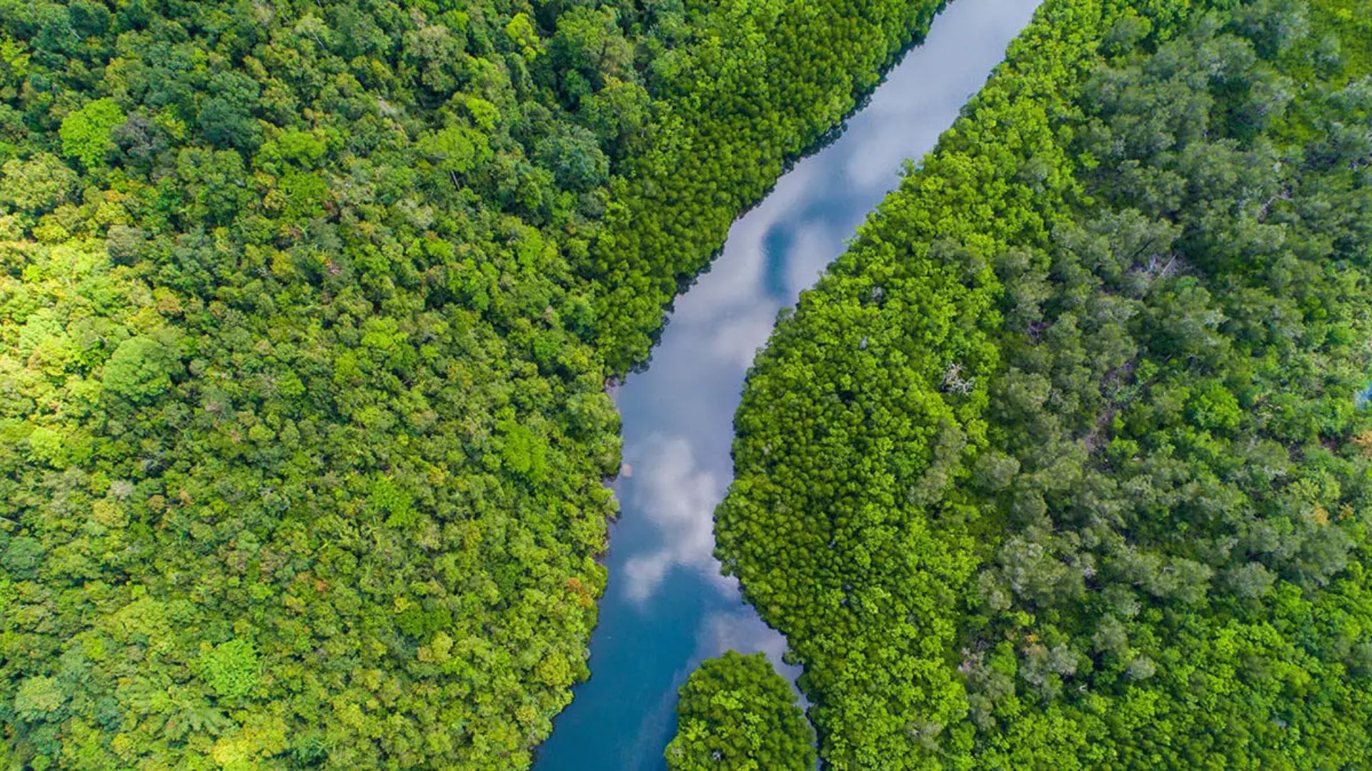 තවත් වනාන්තර 20ක් අද රක්ෂිත ලෙස ගැසට් වෙයි