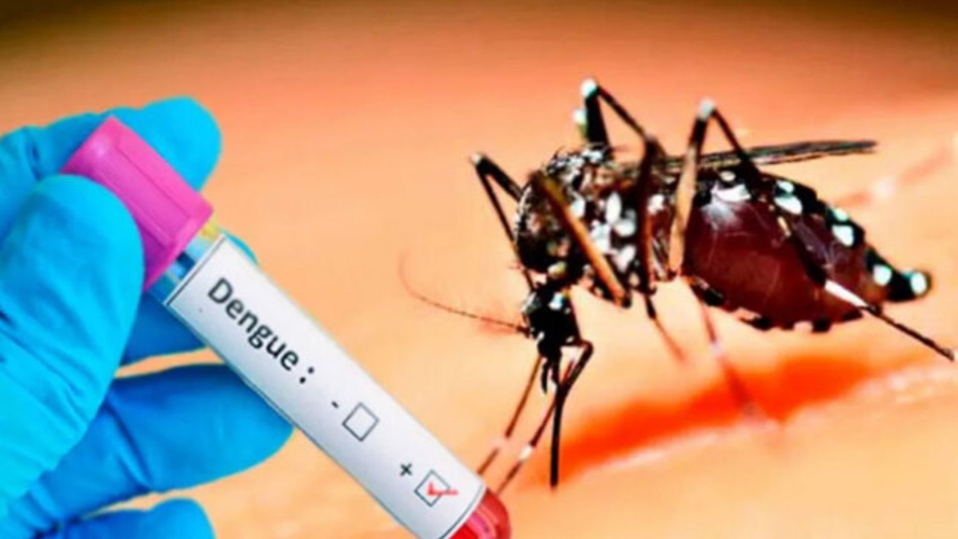 ඩෙංගු රෝගීන් සංඛ්‍යාව 96,000 ඉක්මවයි